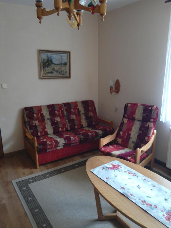 Apartmany Pod Suchym Vrchem Orlicky Bagian luar foto