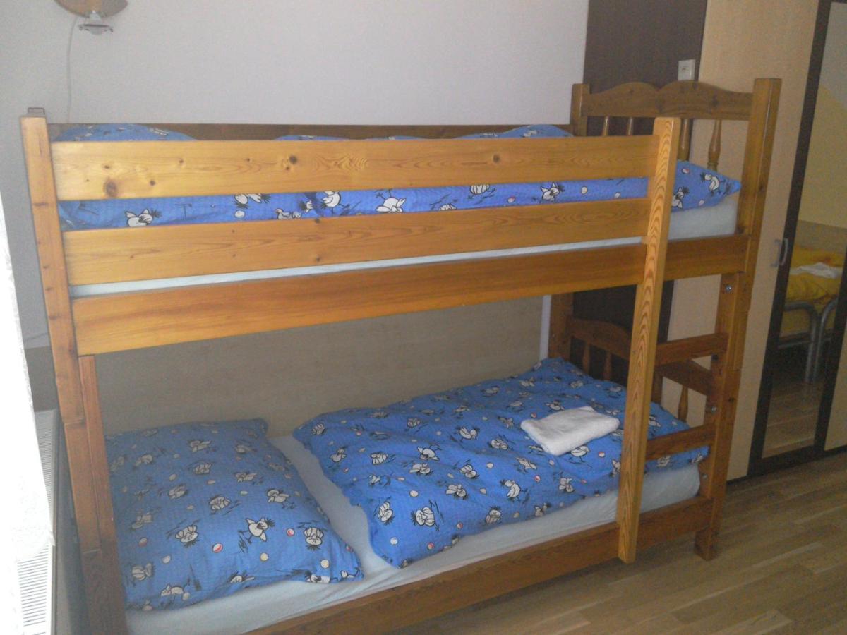 Apartmany Pod Suchym Vrchem Orlicky Bagian luar foto