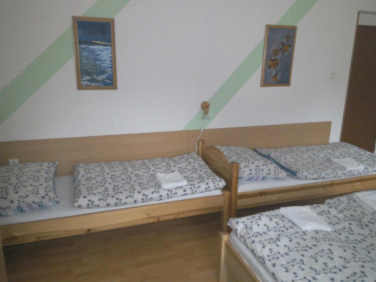 Apartmany Pod Suchym Vrchem Orlicky Bagian luar foto
