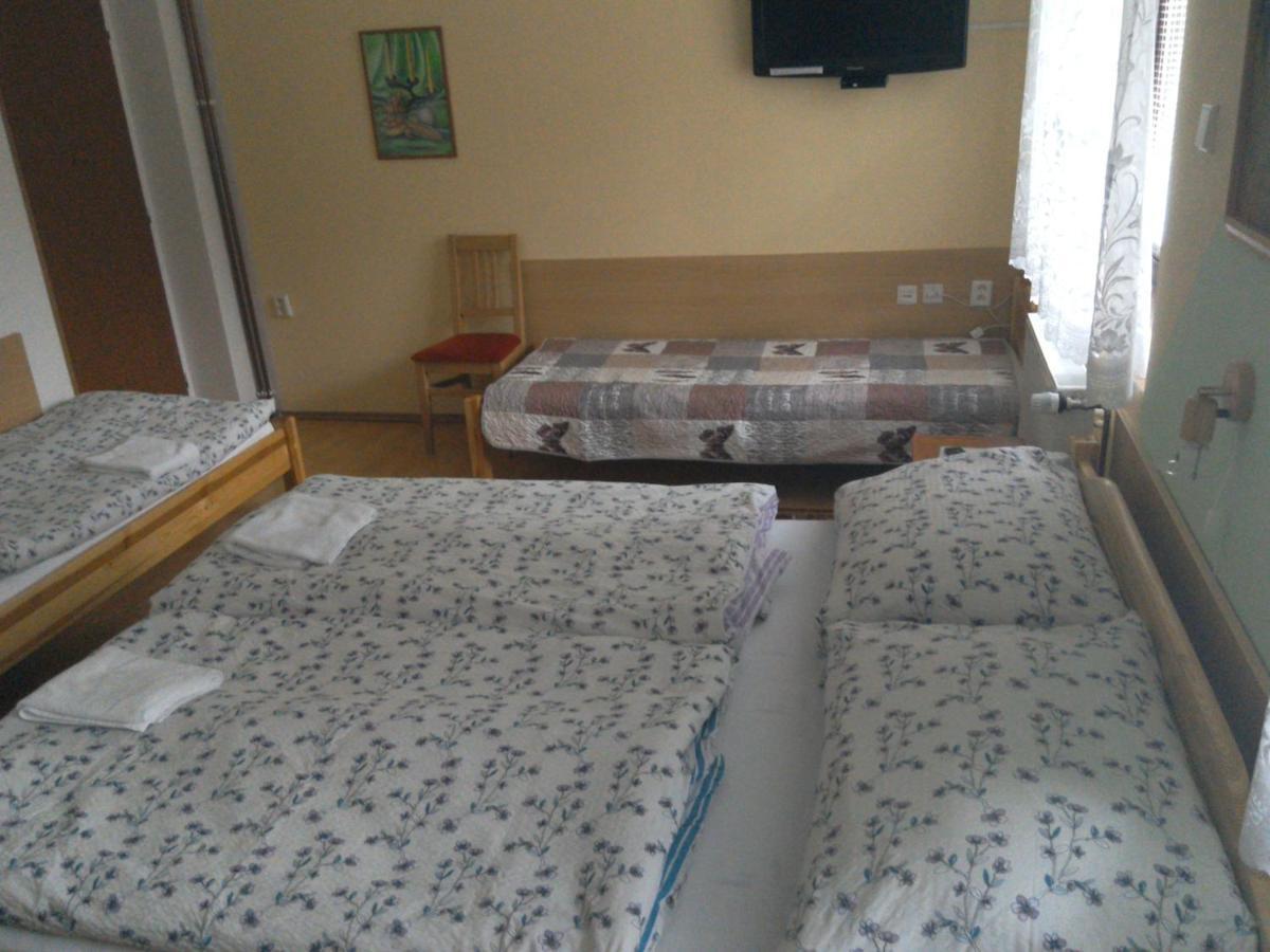 Apartmany Pod Suchym Vrchem Orlicky Bagian luar foto