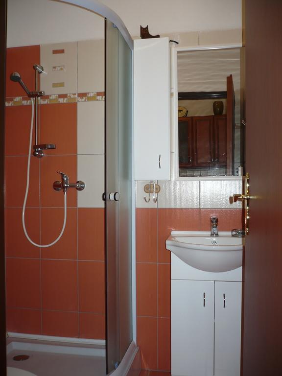 Apartmany Pod Suchym Vrchem Orlicky Bagian luar foto