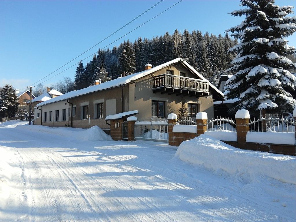 Apartmany Pod Suchym Vrchem Orlicky Bagian luar foto