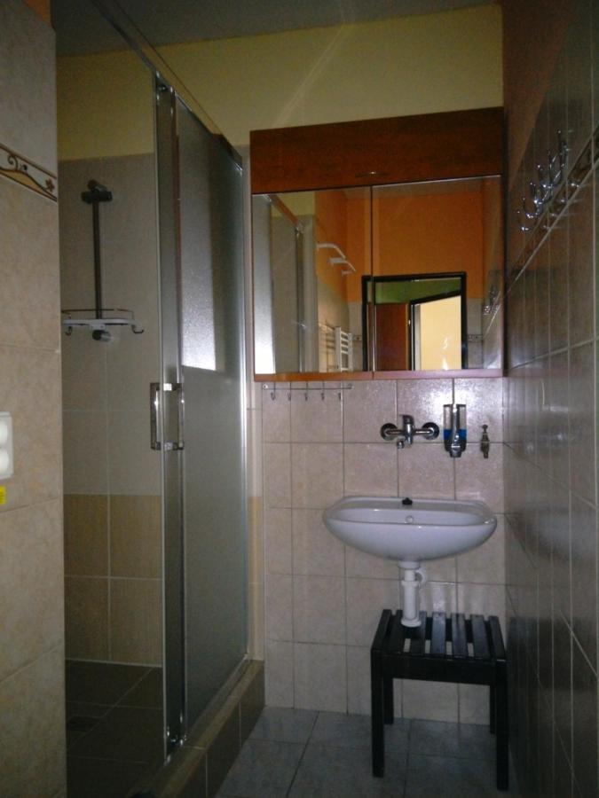 Apartmany Pod Suchym Vrchem Orlicky Bagian luar foto